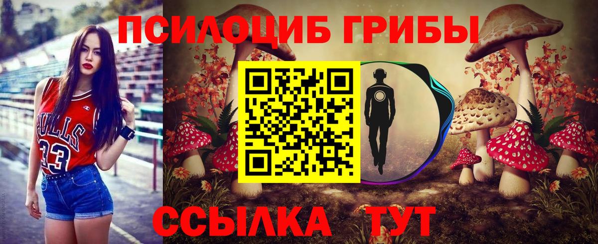 Галлюциногенные грибы MAGIC MUSHROOMS Александров